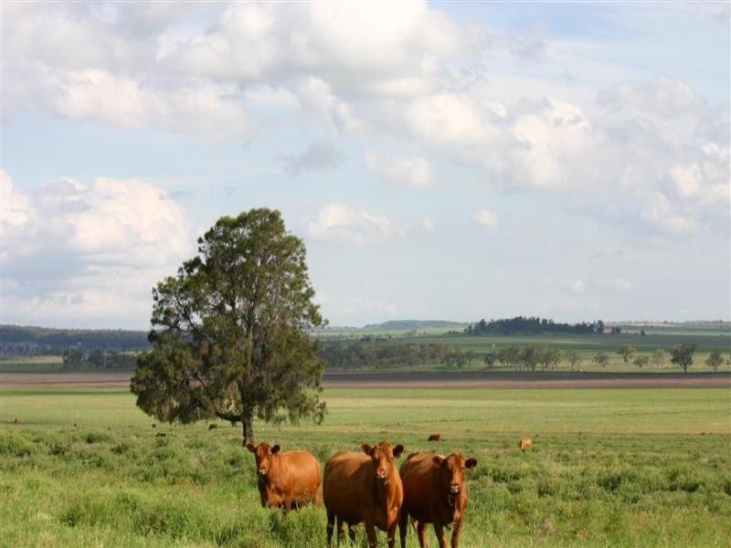 . Rosalie Plains, Oakey QLD 4401