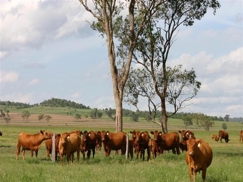 . Rosalie Plains, Oakey QLD 4401