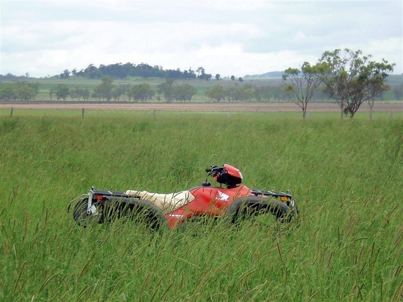 . Rosalie Plains, Oakey QLD 4401