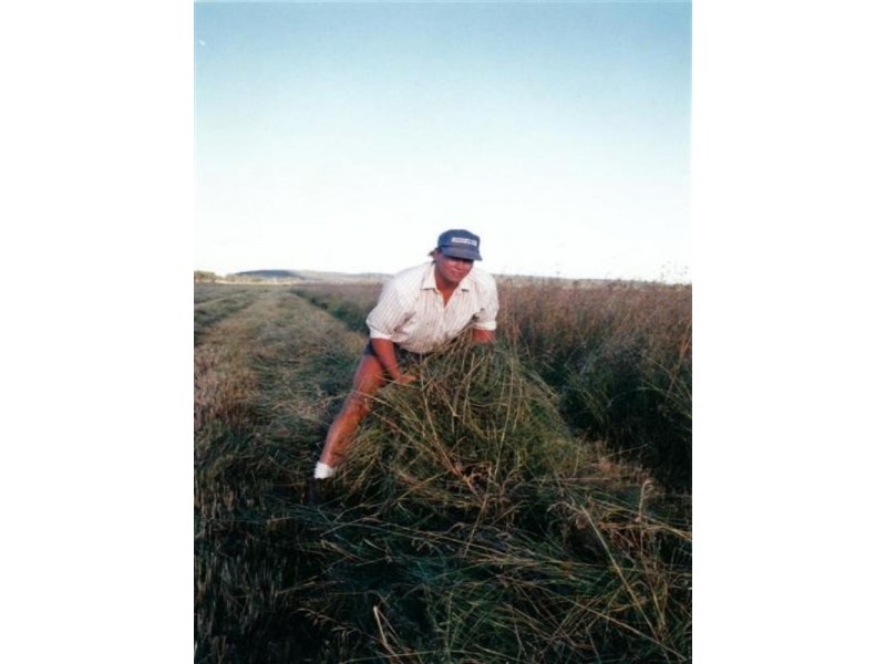 . Rosalie Plains, Oakey QLD 4401