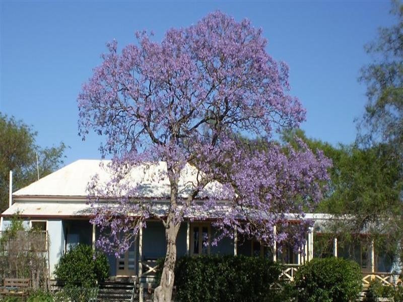 . Rosalie Plains, Oakey QLD 4401