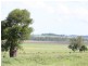 . Rosalie Plains, Oakey QLD 4401