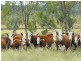 . Rosalie Plains, Oakey QLD 4401
