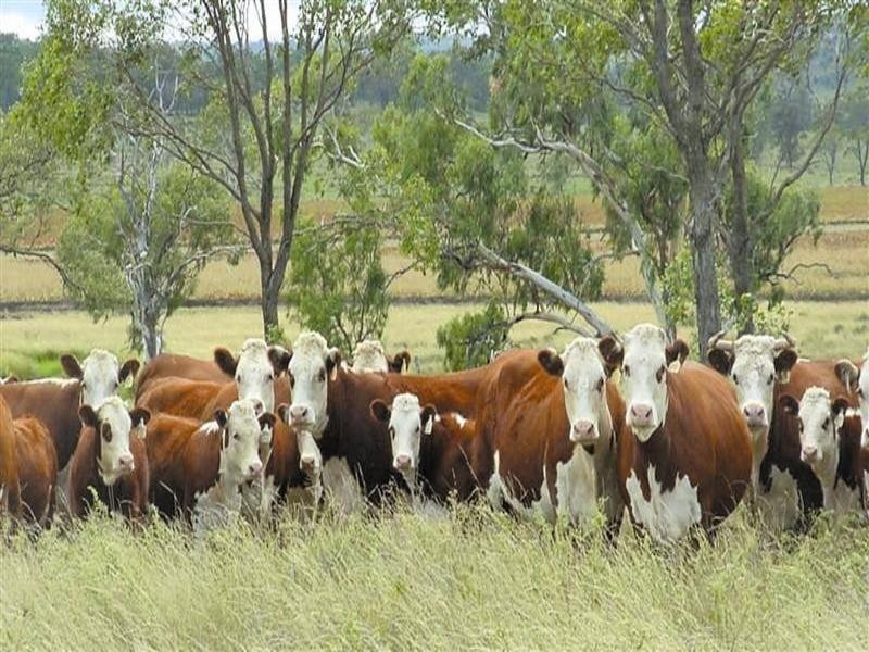 . Rosalie Plains, Oakey QLD 4401