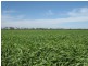 Brymaroo QLD 4403