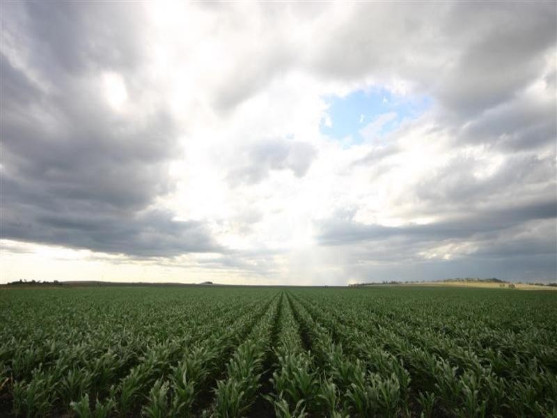 . Plainview, Jondaryan QLD 4403