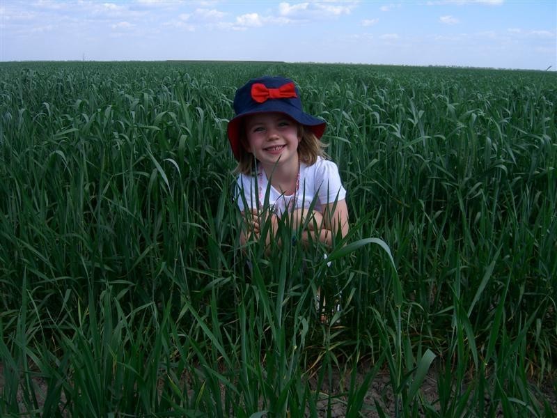 . ‘Thompson’s', Dalby QLD 4405