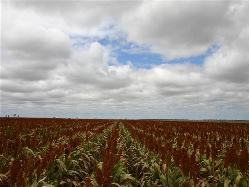 . ‘Thompson’s', Dalby QLD 4405