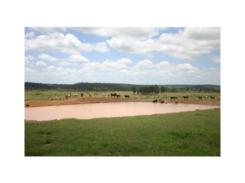 00 “ROYLAND”, Surat QLD 4417