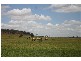 00 “ROYLAND”, Surat QLD 4417