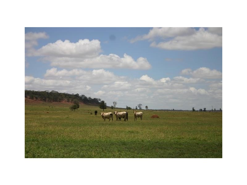 00 “ROYLAND”, Surat QLD 4417