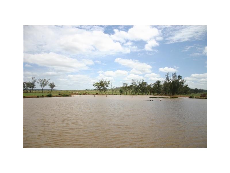 00 “ROYLAND”, Surat QLD 4417