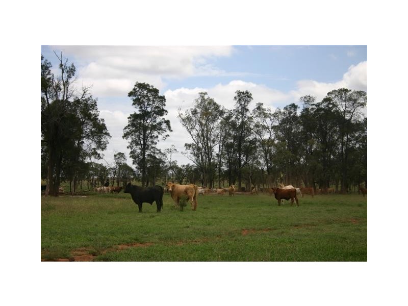 00 “ROYLAND”, Surat QLD 4417