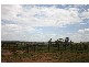 00 “ROYLAND”, Surat QLD 4417