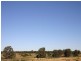 Tara QLD 4421