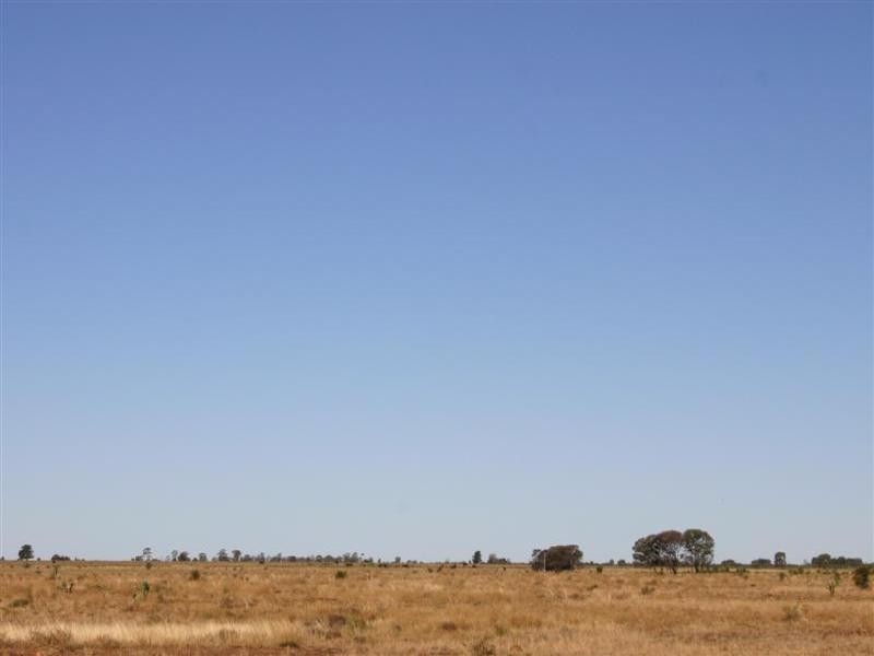 Tara QLD 4421