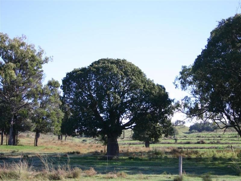 . Lanewood, Maclagan QLD 4352