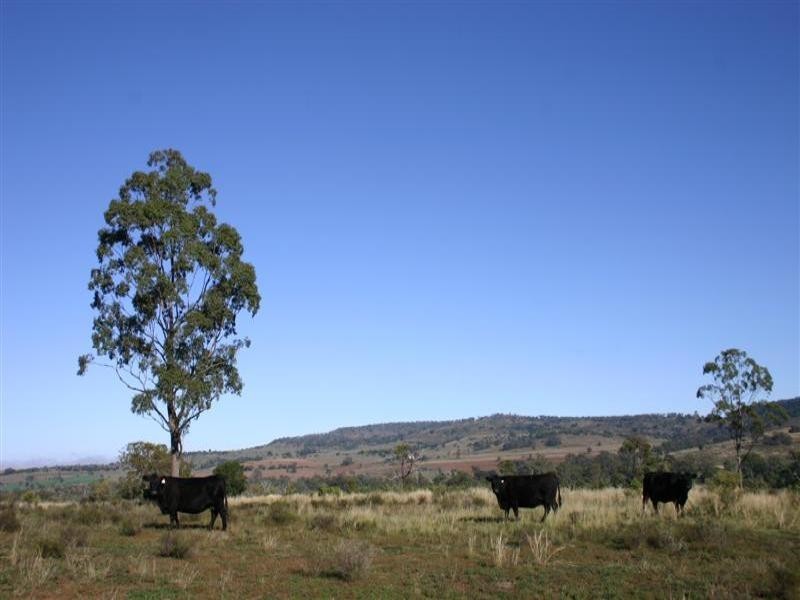 . Lanewood, Maclagan QLD 4352