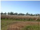 Lot 131 Warrego Highway, Dalby QLD 4405