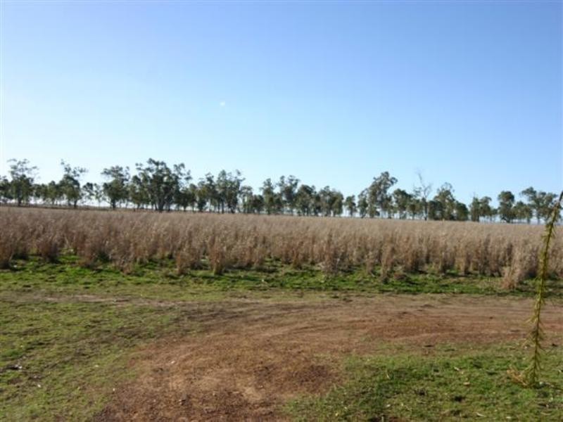Lot 131 Warrego Highway, Dalby QLD 4405