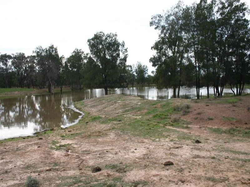 . Turana/Wollambi, Meandarra QLD 4422