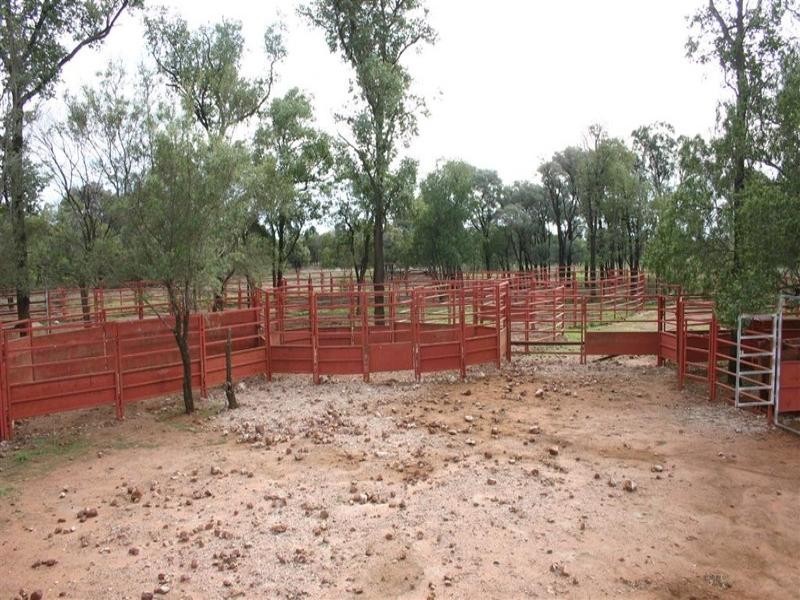 . Turana/Wollambi, Meandarra QLD 4422