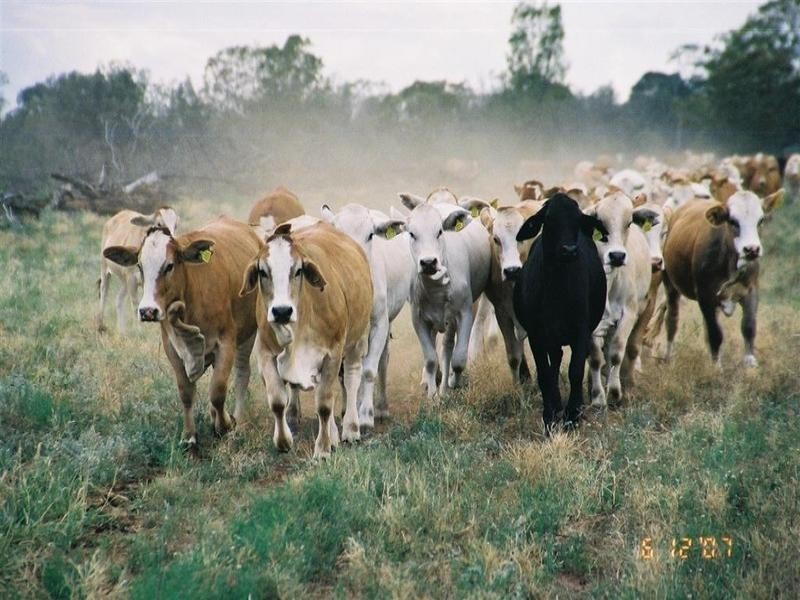 Inglestone QLD 4422