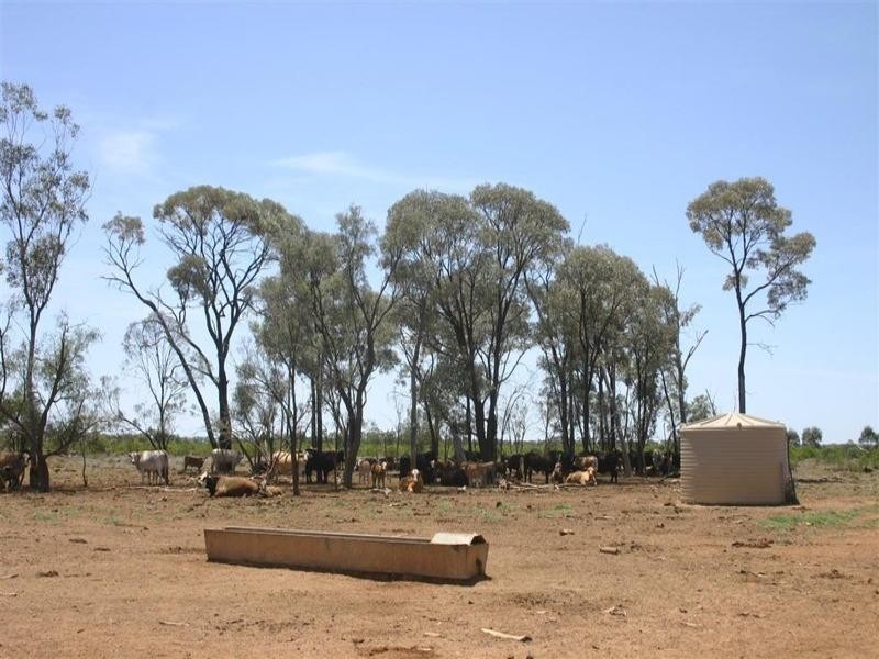 . Whyenbirra, Bollon QLD 4488