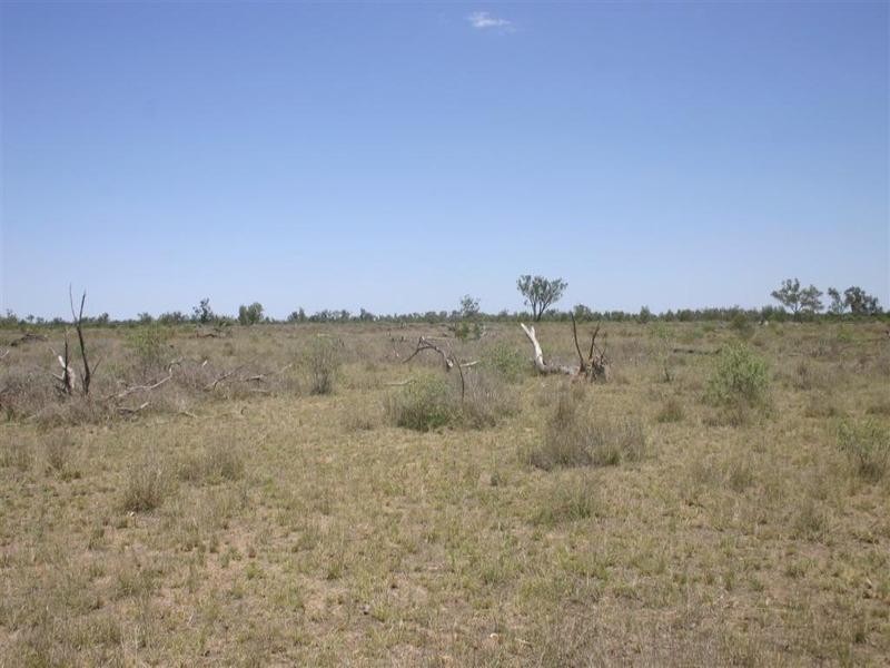 . Whyenbirra, Bollon QLD 4488