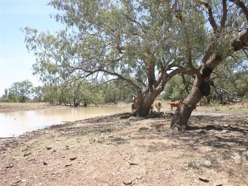 . Whyenbirra, Bollon QLD 4488