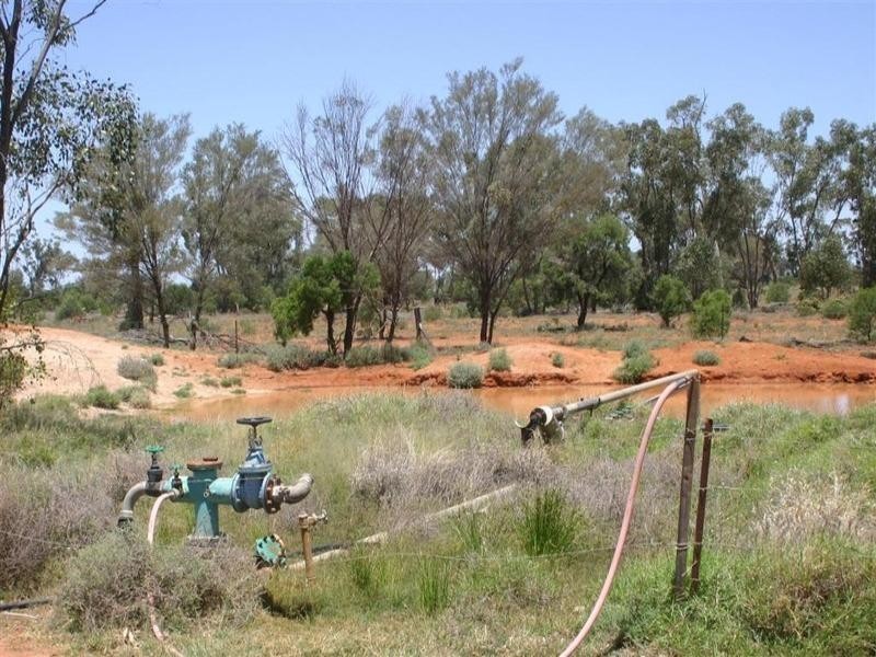 . Whyenbirra, Bollon QLD 4488