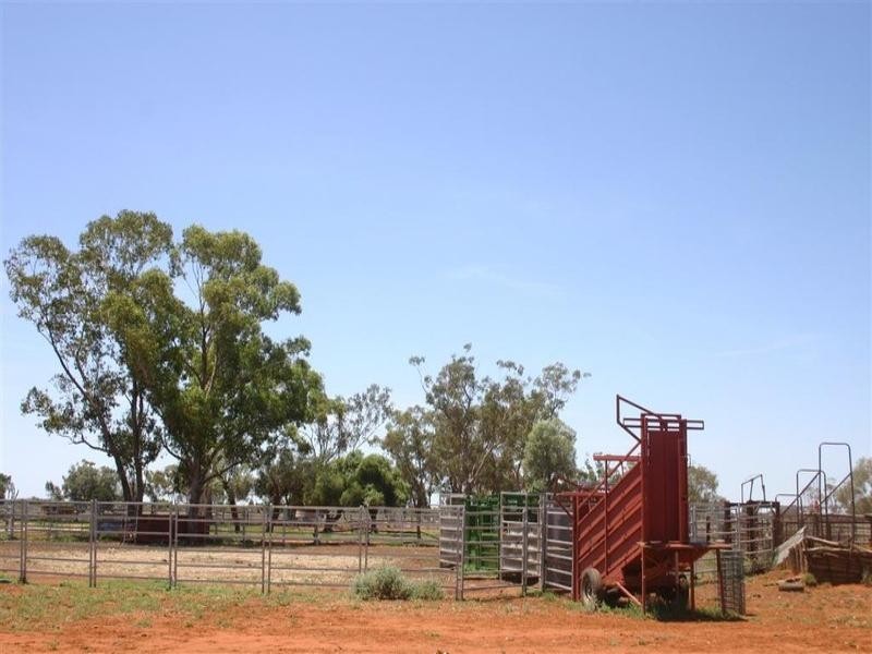 . Whyenbirra, Bollon QLD 4488