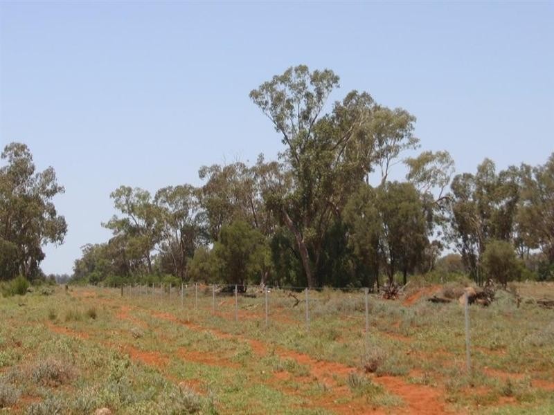 . Whyenbirra, Bollon QLD 4488