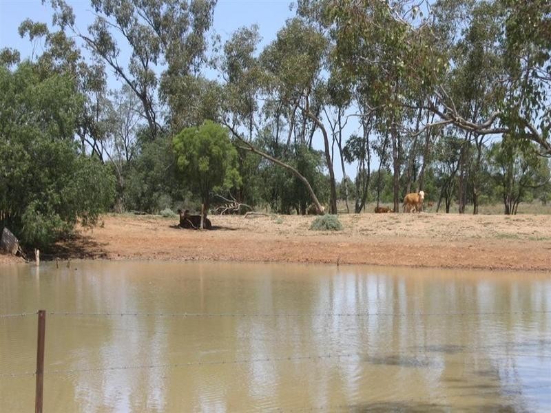 . Whyenbirra, Bollon QLD 4488