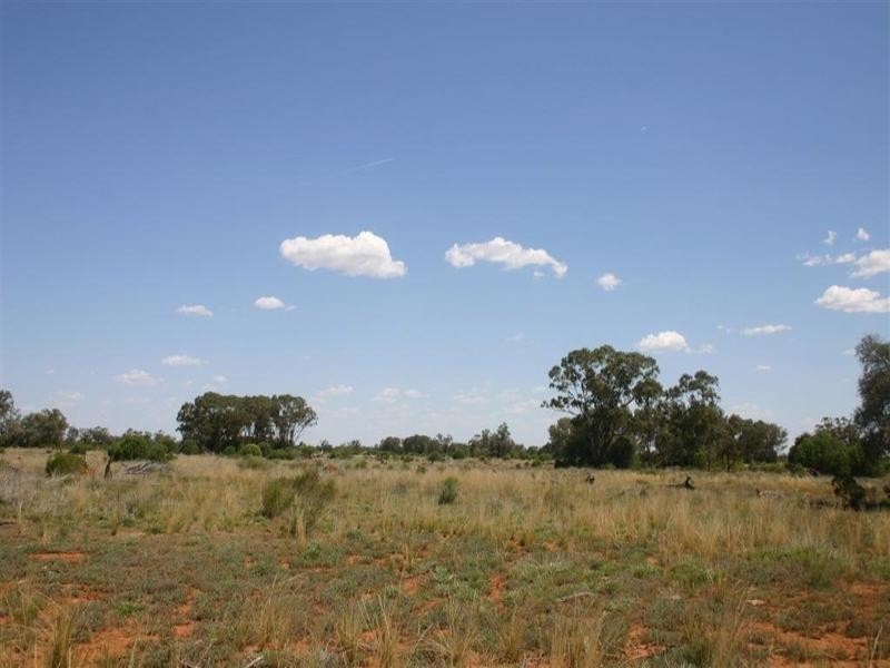 . Whyenbirra, Bollon QLD 4488