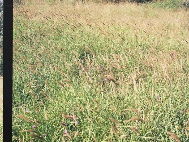 . Boolara, Meandarra QLD 4422