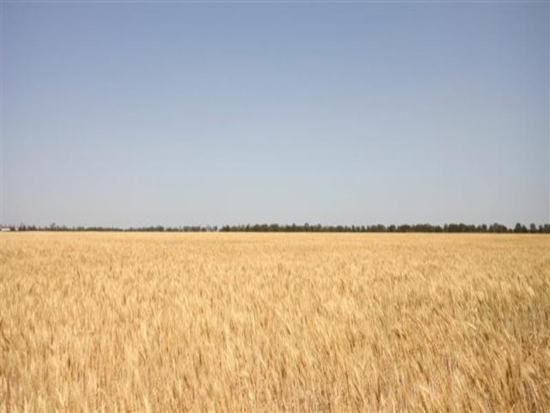 The Gums QLD 4406