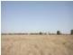 The Gums QLD 4406