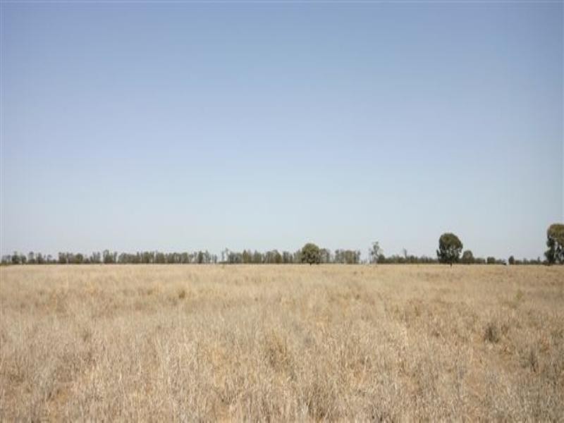 The Gums QLD 4406