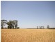 The Gums QLD 4406