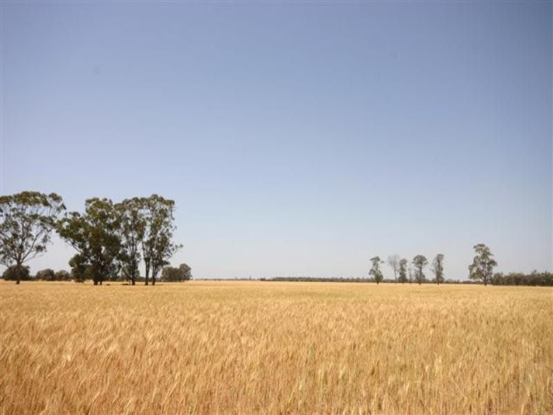 The Gums QLD 4406