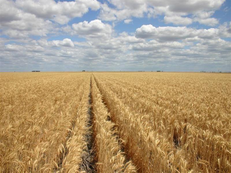 . “PRAIRIE”, Dalby QLD 4405