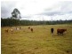 . “BRAHMLEIGH”, Glenwood QLD 4570