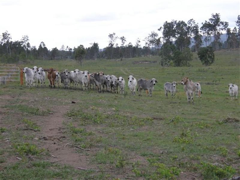 . “BRAHMLEIGH”, Glenwood QLD 4570