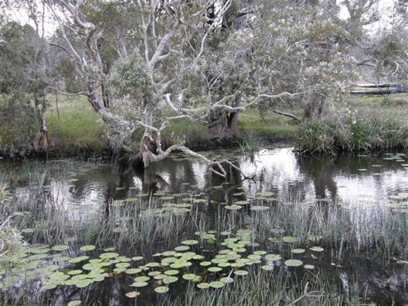 . “BRAHMLEIGH”, Glenwood QLD 4570
