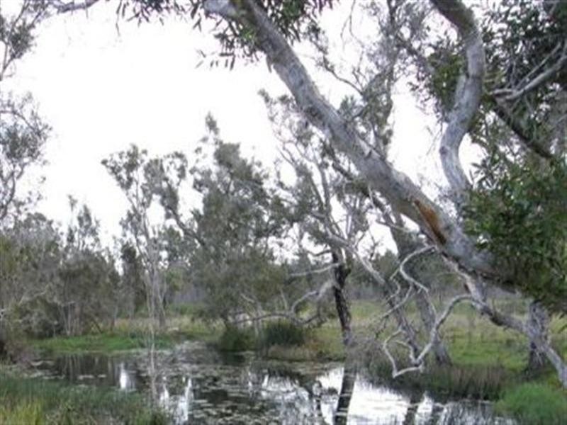 . “BRAHMLEIGH”, Glenwood QLD 4570