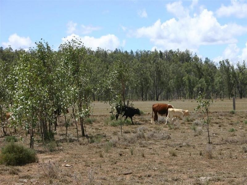 Cecil Plains QLD 4407