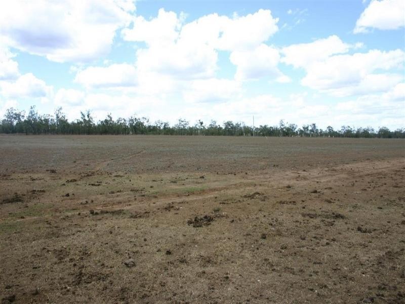 Cecil Plains QLD 4407