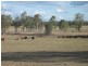 Leyburn QLD 4365