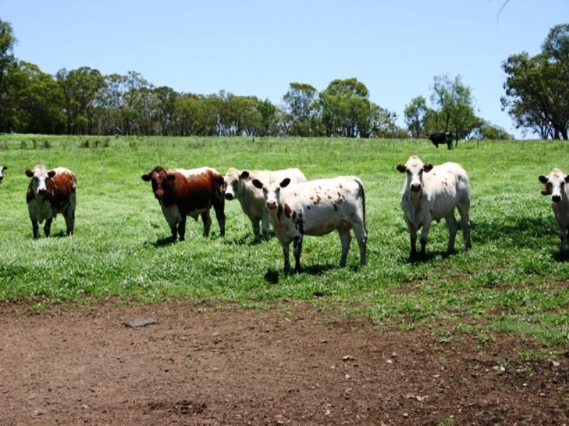 . Echo, Kumbia QLD 4610